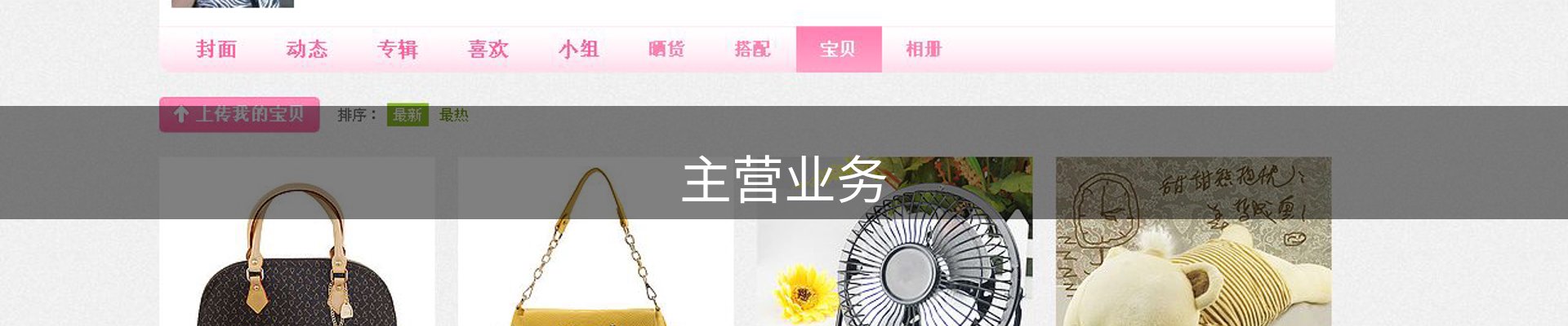 主营业务