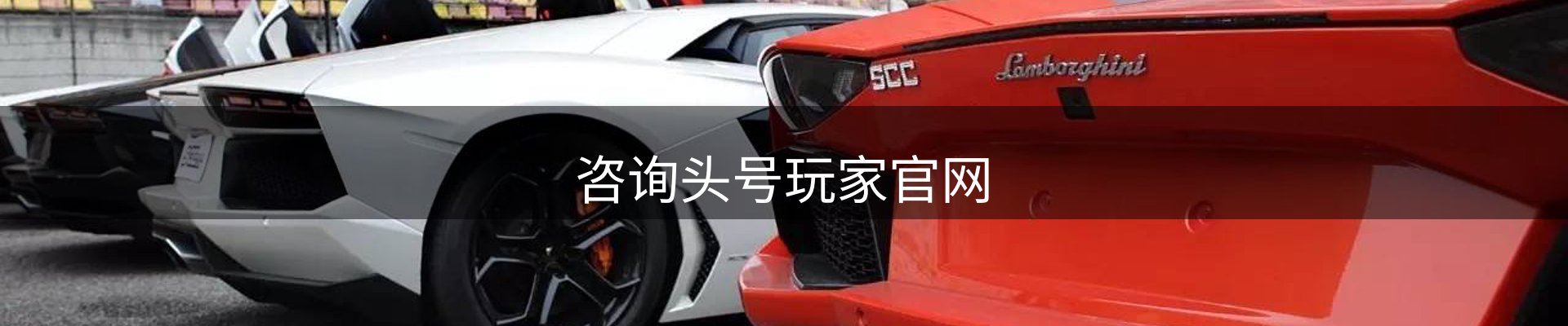 咨询头号玩家官网